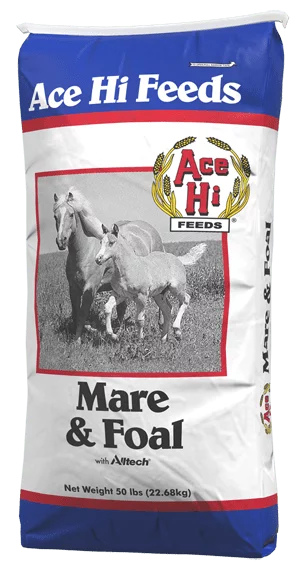 Ace Hi Mare & Foal
