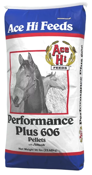 Ace Hi Performance Plus 606 Pellets