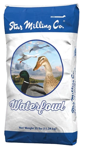 Star  Milling Watefowl
