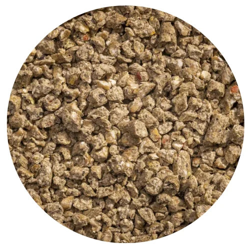 Modesto Milling Organic Chick Starter & Grower Crumbles (NonCorn NonSoy)