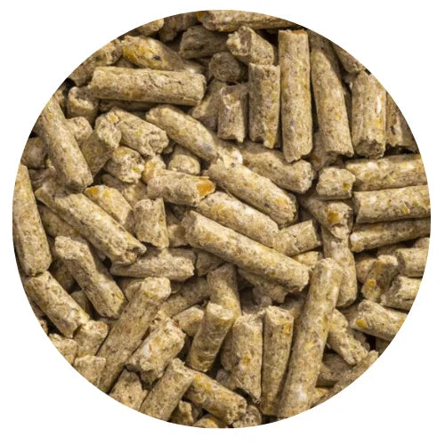 Modesto Milling Organic Layer Pellets