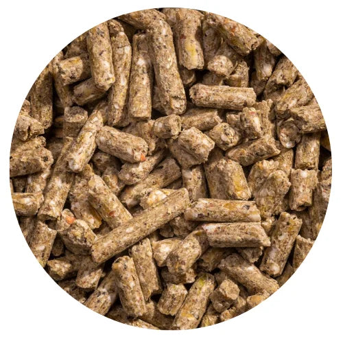 Modesto Milling Organic Layer Pellets (NonCorn NonSoy)