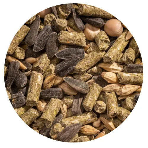 Modesto Milling Organic Whole Grain Layer Mix (NonCorn NonSoy)